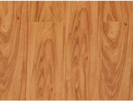 強化地板-精品8805