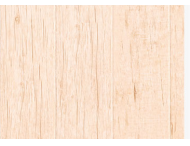 強化地板-精品8803